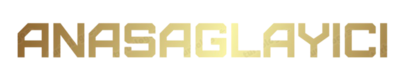 AnaSaglayici